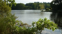 SAVENAY