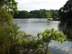 SAVENAY